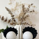 Black ceramic shell lamp