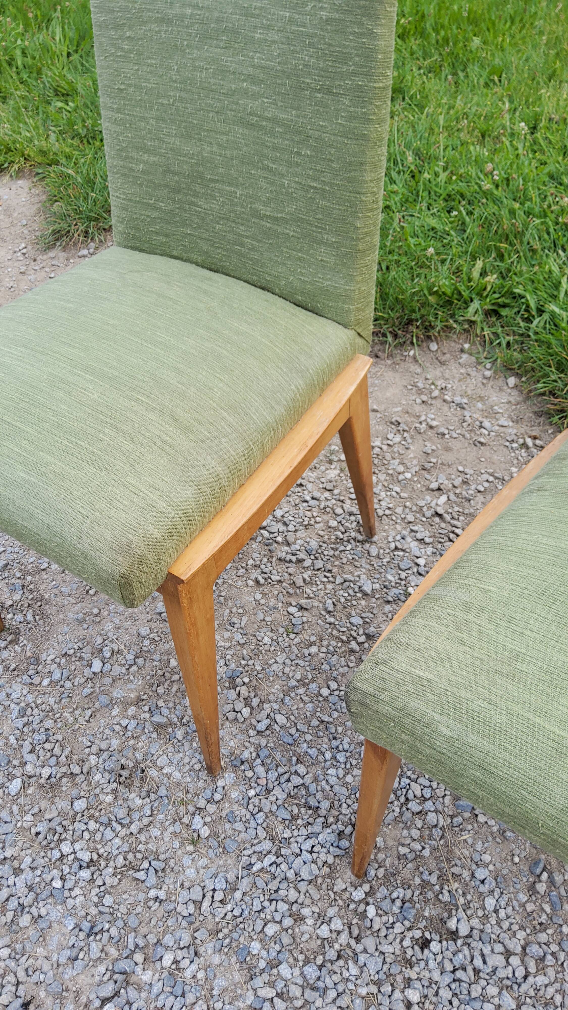 Pair of chairs from the 50s in sycamore tinted beech