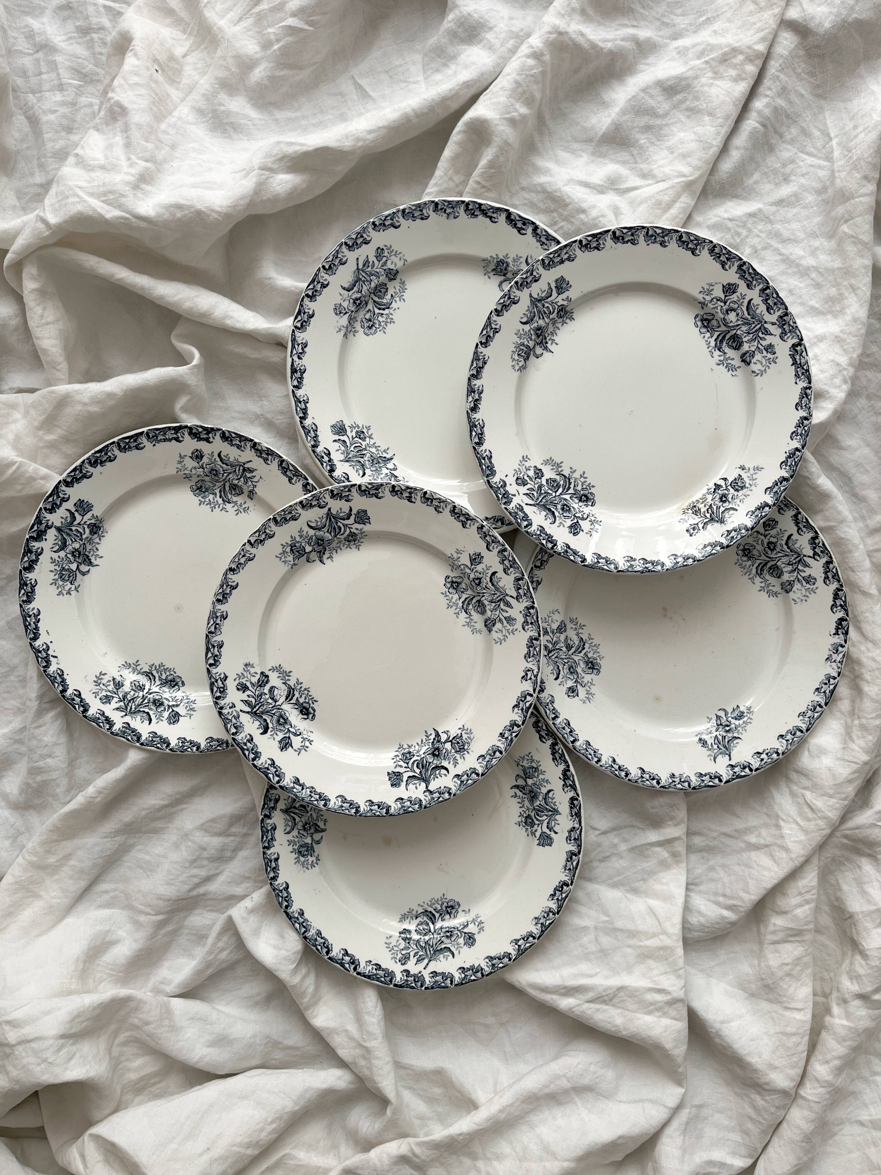 6 flat ironware plates "Albert" AG Clairefontaine