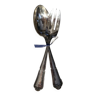 1 serving fork and spoon set