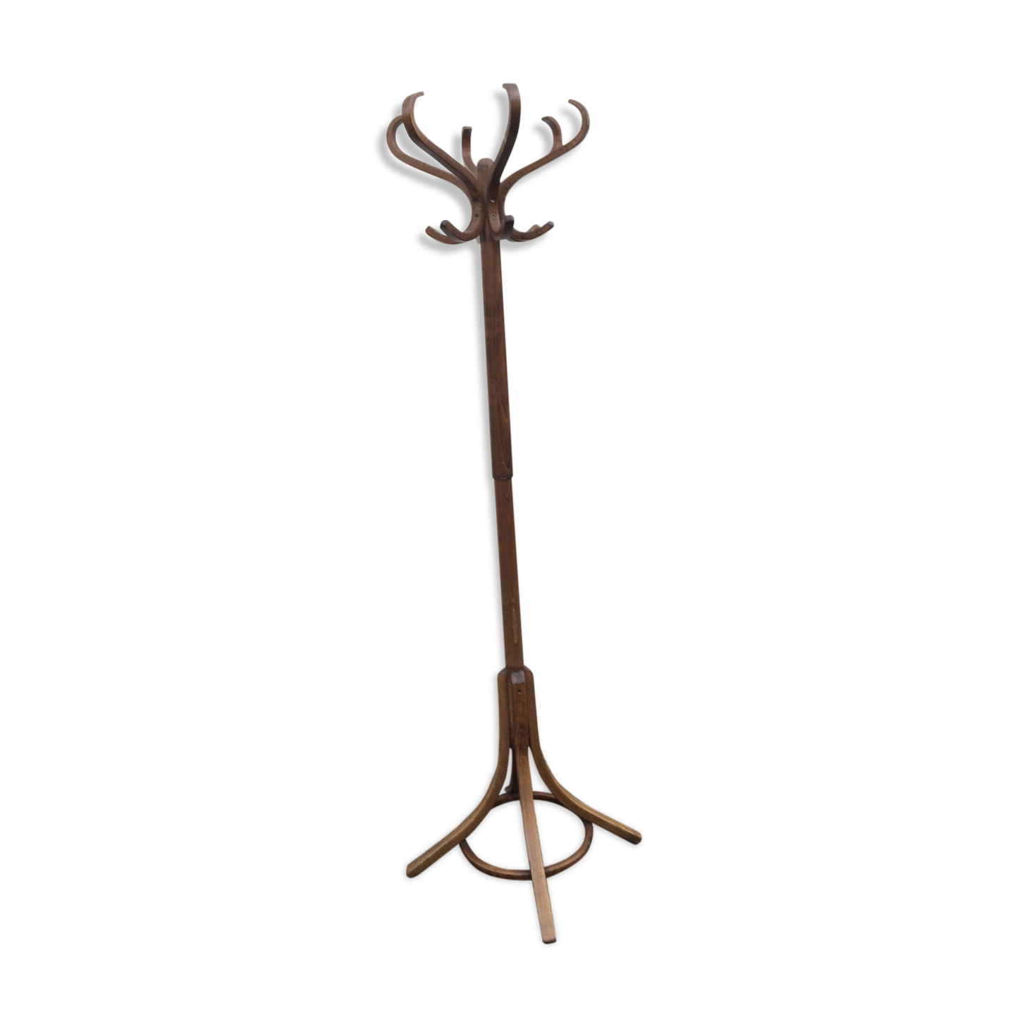 Baumann parrot coat holder