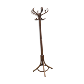 Baumann parrot coat holder