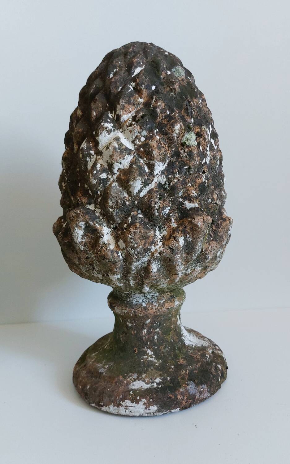 Garden pine cone