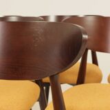 Scandinavian dining chairs set of 6 moutarde bouclé 