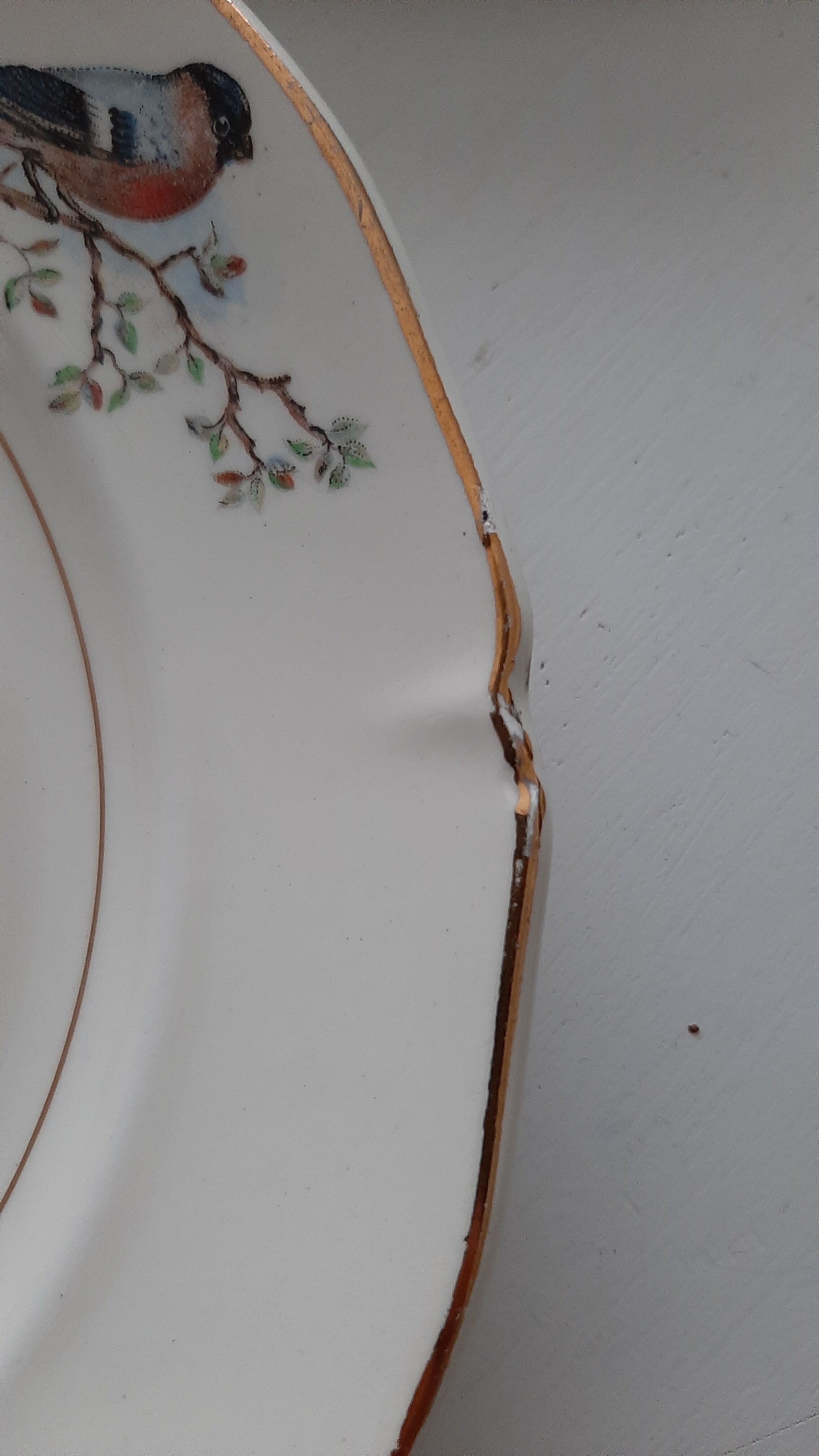 Lot plates St-Amand robin