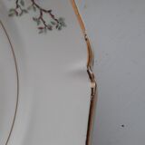 Lot plates St-Amand robin