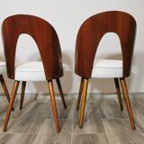 Dining Chairs by Antonin Suman, 1960s, Set of 4