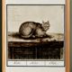 Small poster about the cat, after an old engraving from 1610.