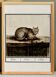 Small poster about the cat, after an old engraving from 1610.