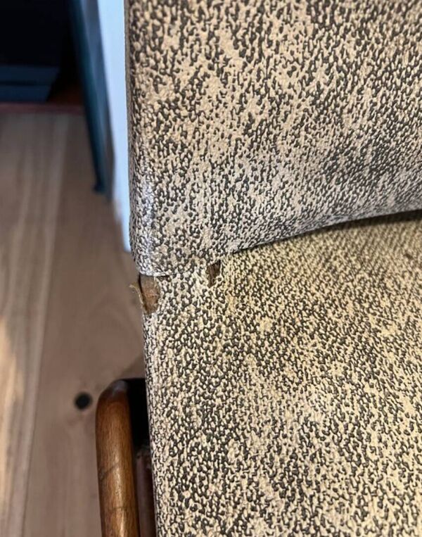 (Lot) 2 chaises en teck design (année 50s)