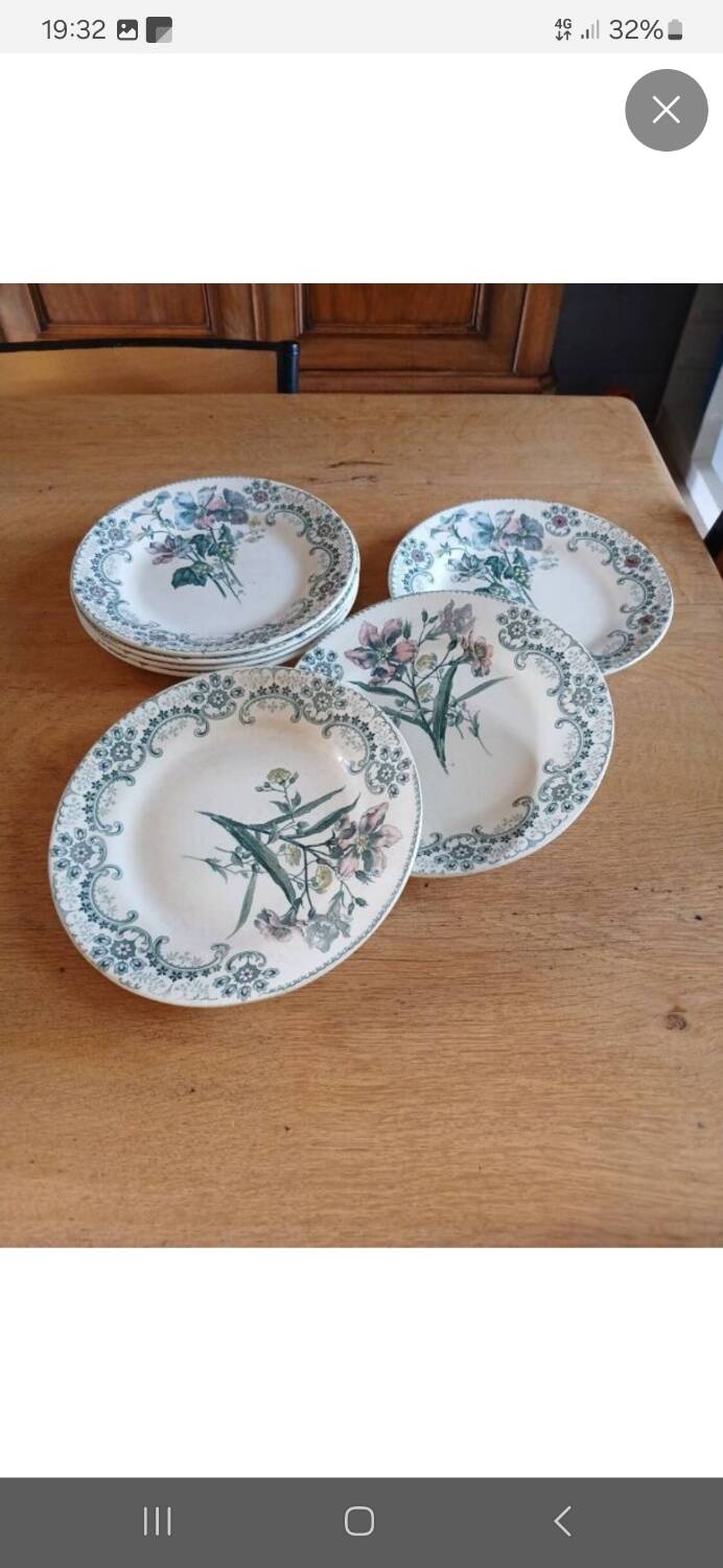 7 old flat plates Terre de fer