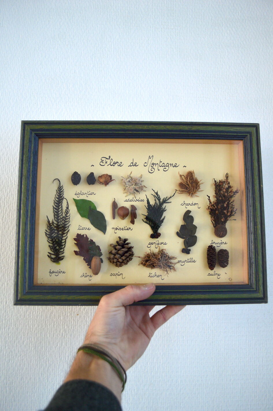 Vintage painting of dried flowers