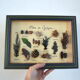 Vintage painting of dried flowers