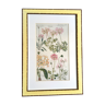 Frame botanical board pelargonium