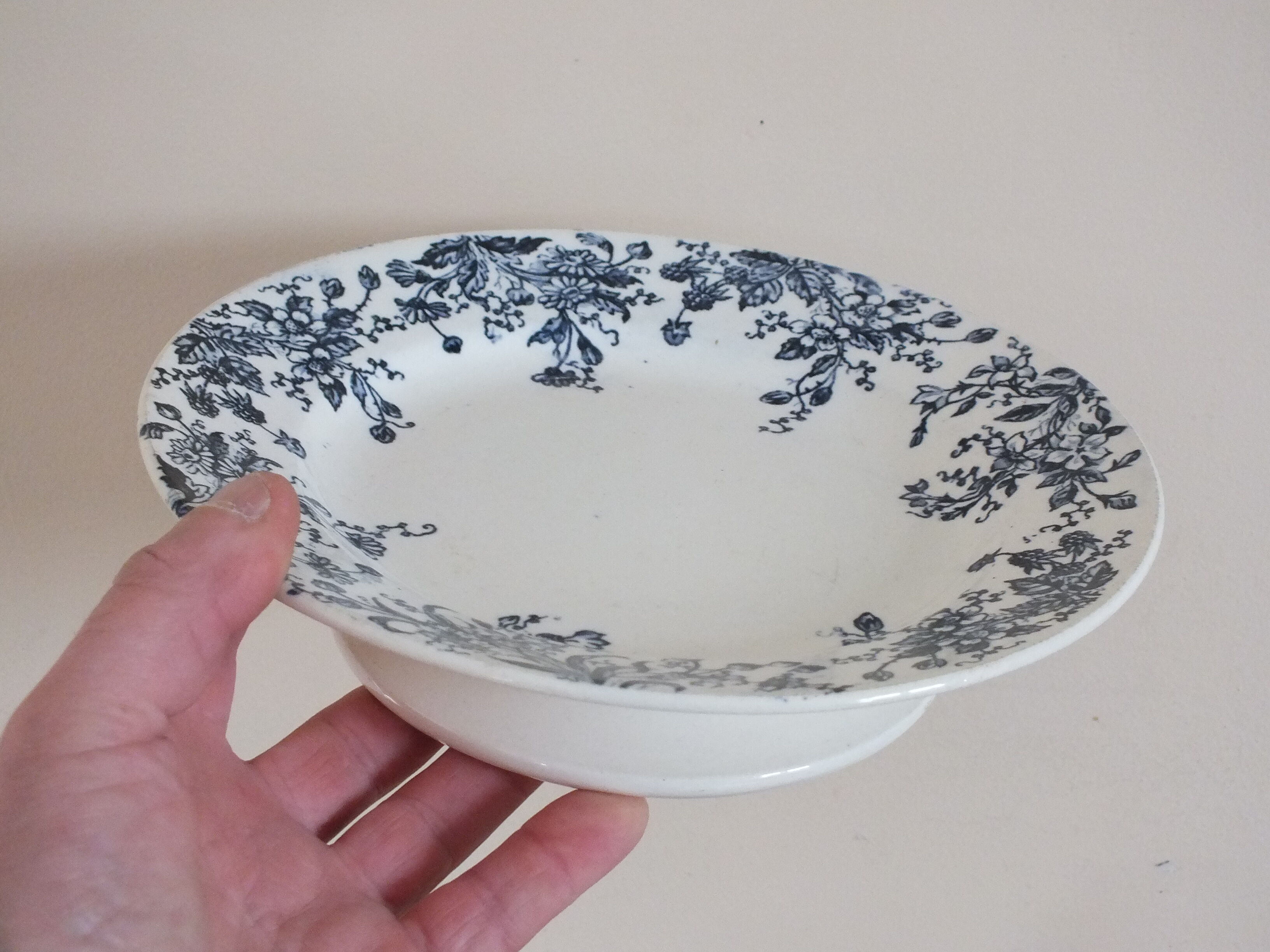 mounted plate or display in Iron Earth - fruit decoration