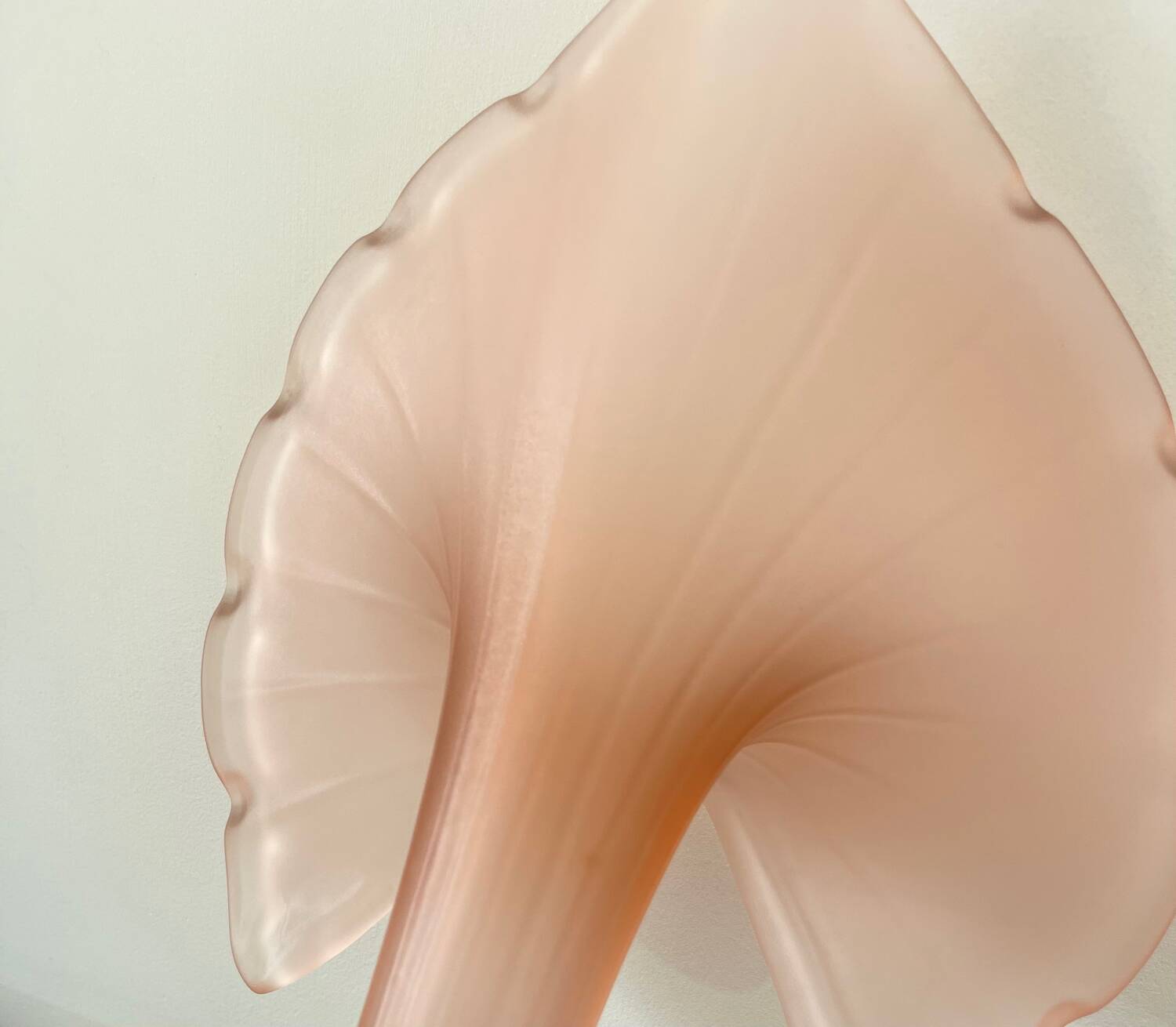 Leonardo vase in pink frosted glass