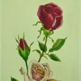 Pair of ancient lithographs of signed floral engravings to be identified