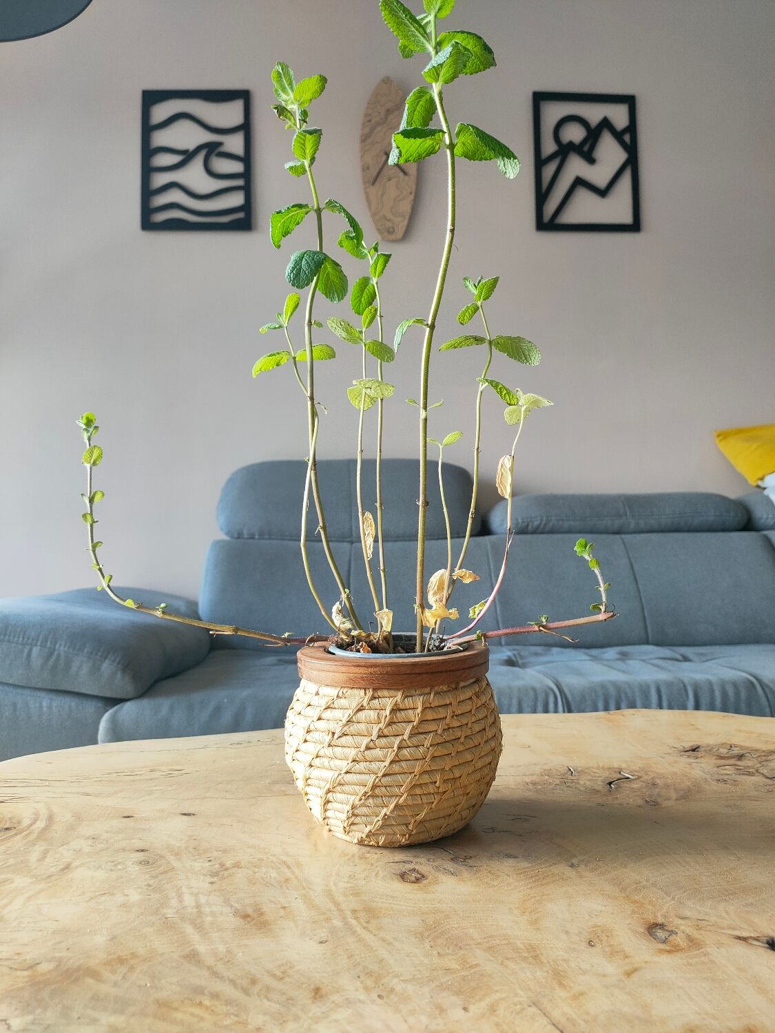 Wicker pot cache and wood
