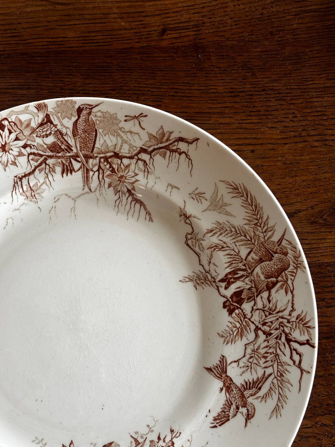 Antique KG Luneville round serving dish, colibri sepia