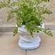 Cache pot design bleached