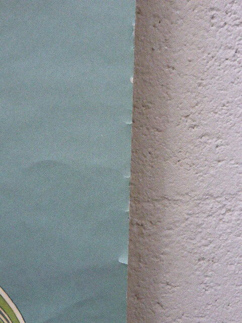Botanical poster plant medicinal by Jung-Koch-Quentell, created in 1960, collector and vintage linen