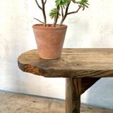 Banc de ferme petit format