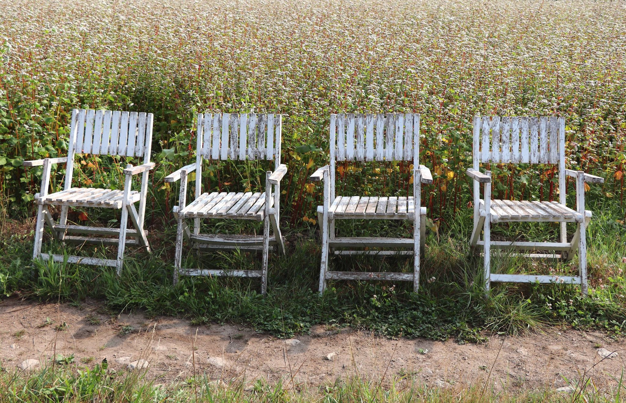 Set of 4 folding garden chairs in slatted wood – 1940 design