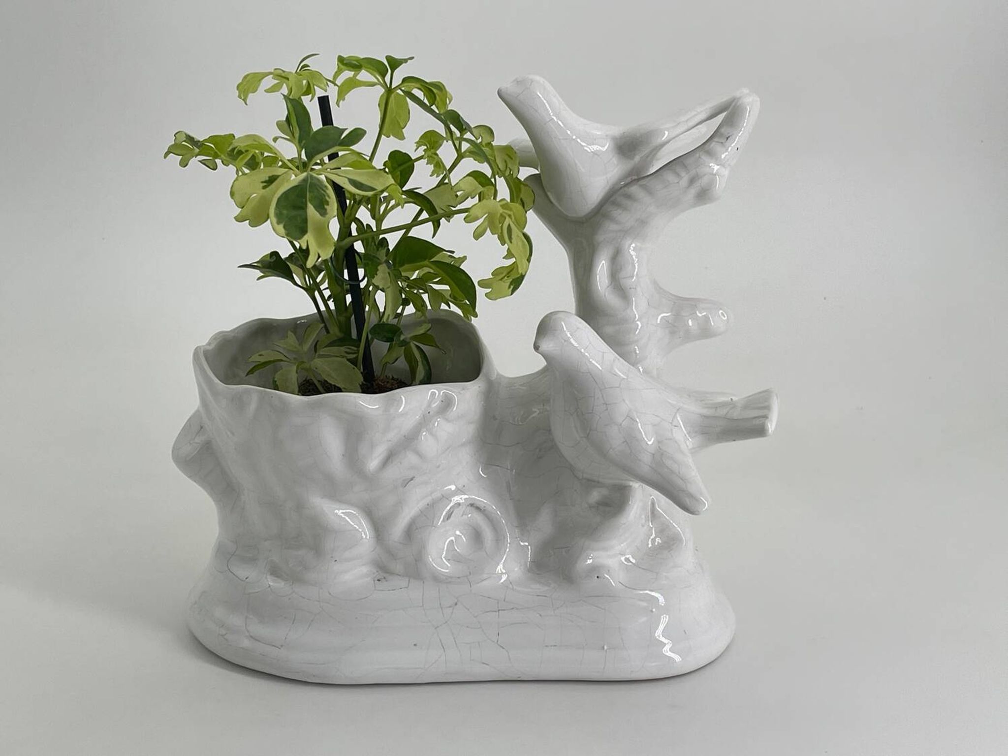 Vintage white porcelain dove planter