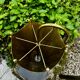 1960s vintage brass umbrella stand