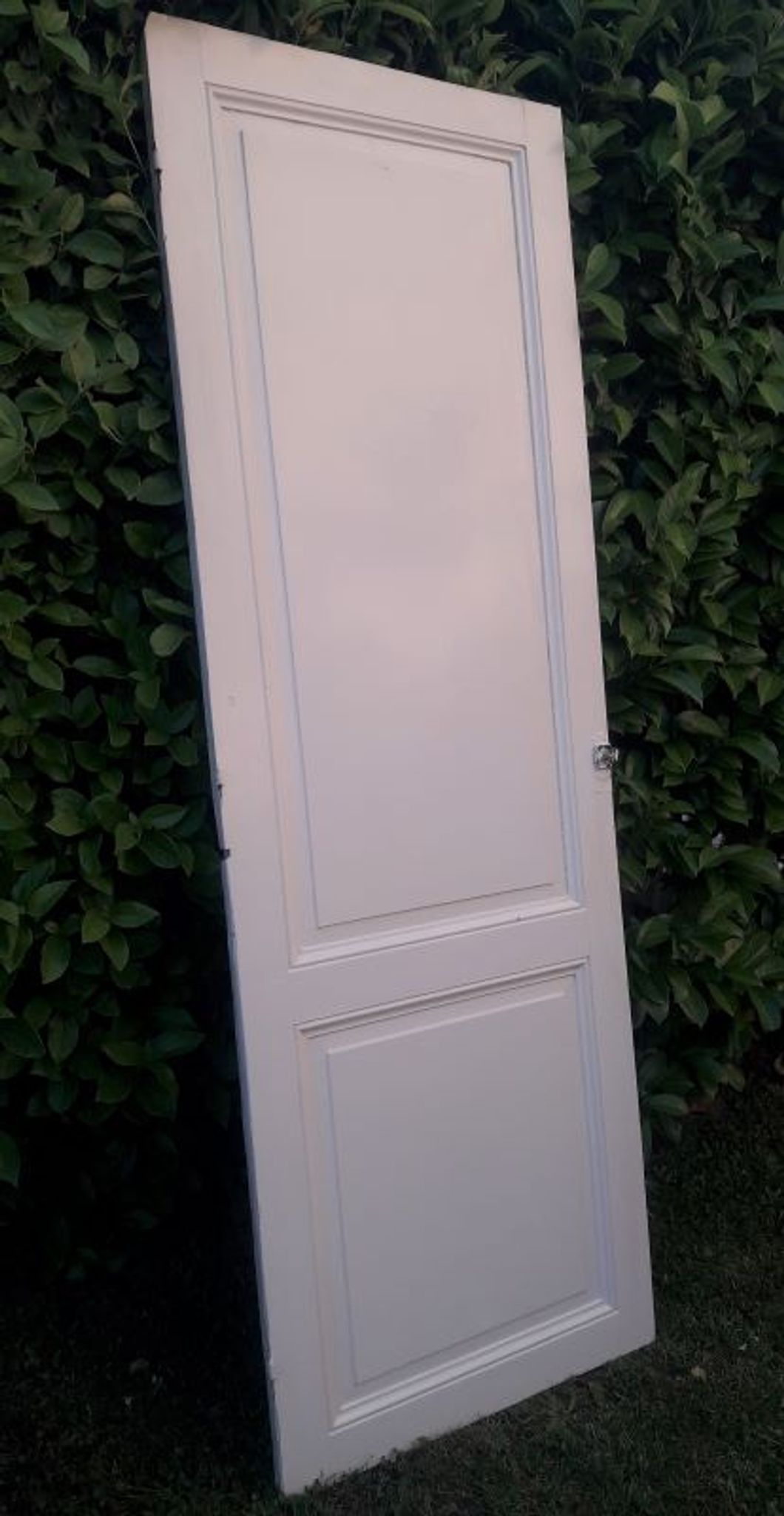 Porte 229,2x79,2cm de placard ancienne
