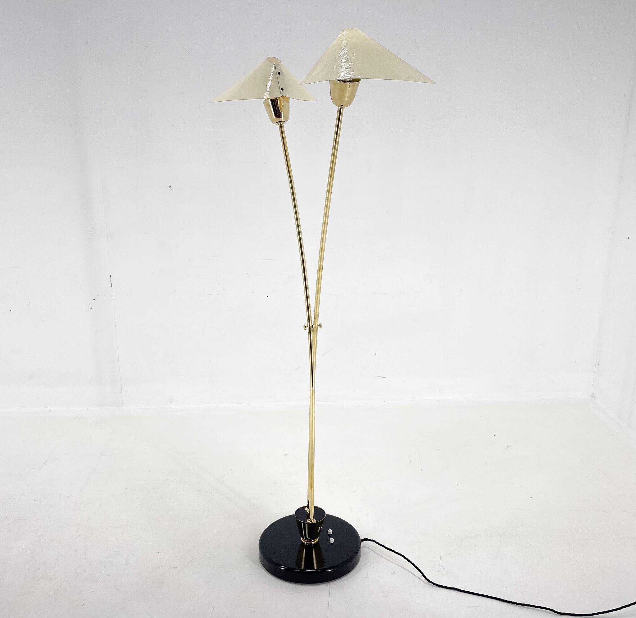 Mid-century Brass Floor Lamp by Napako, 1960s