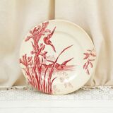 Antique French Ironstone plates