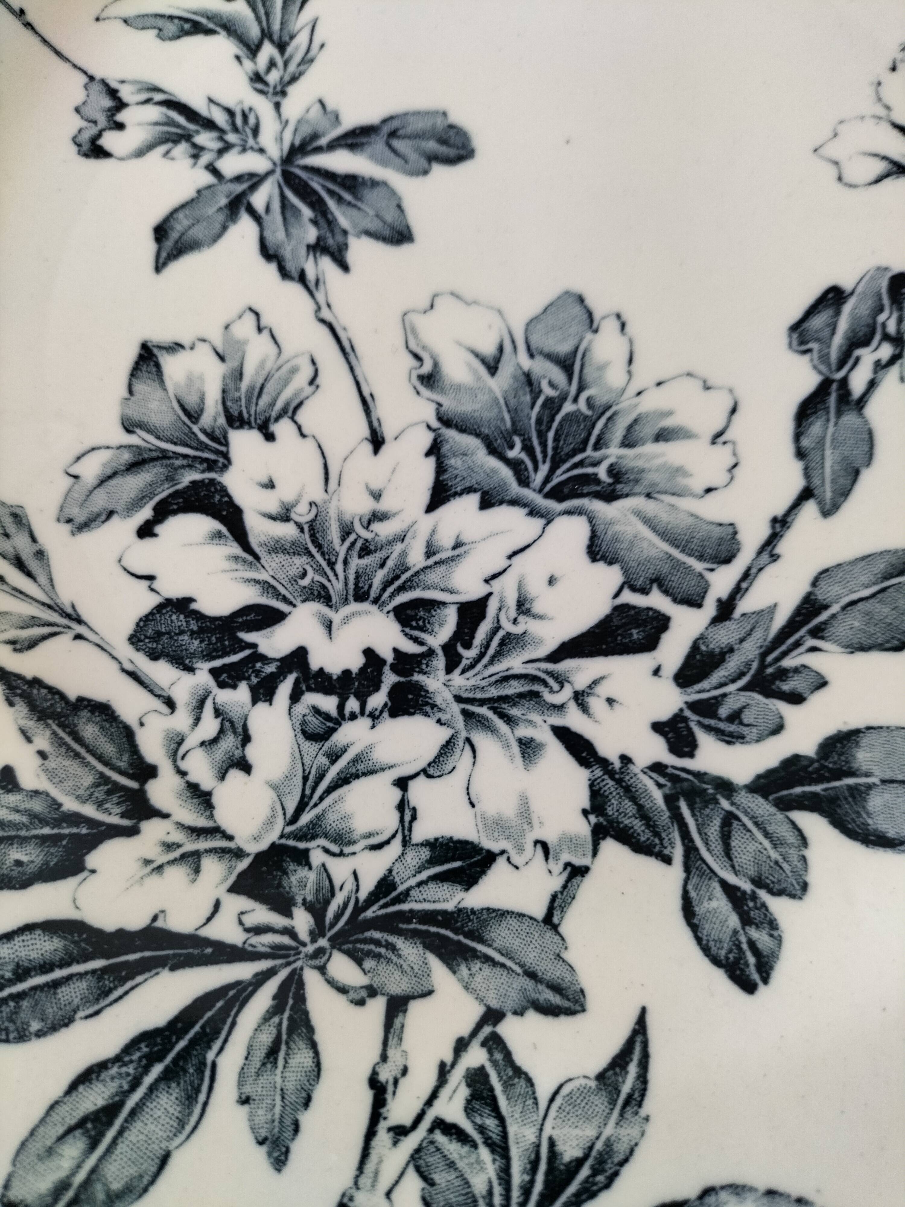 Antique plate, “Azaléa” model – KG Lunéville (circa 1930)