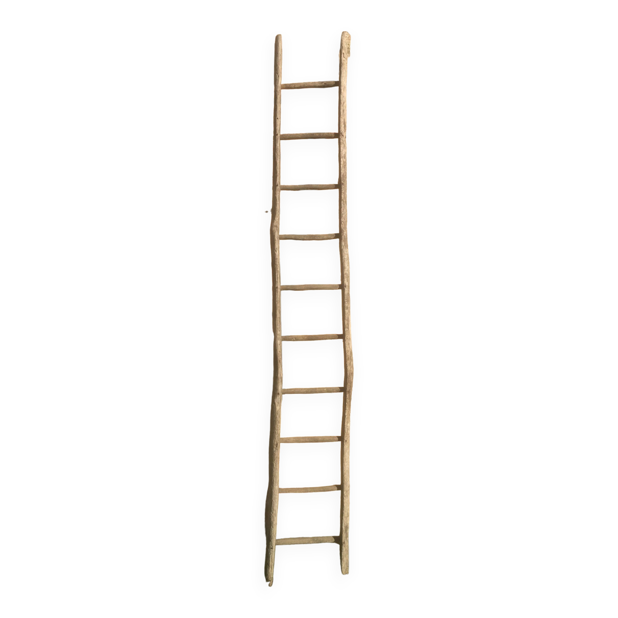 Acacia farm ladder 3/40s