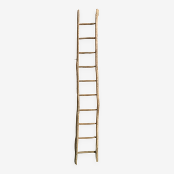 Acacia farm ladder 3/40s