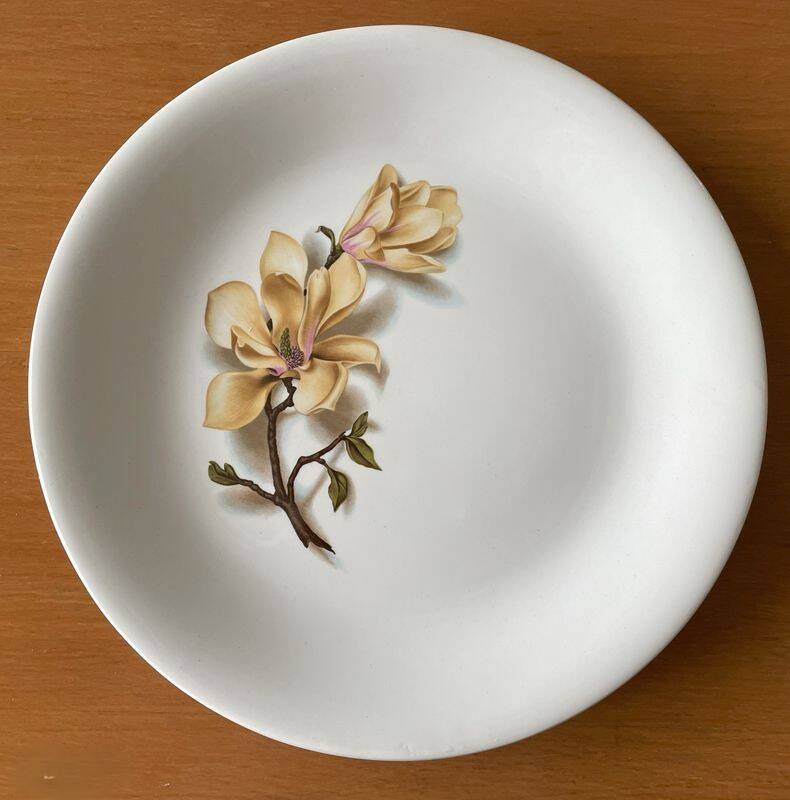 6 antique flat plates in Saint-Amand earthenware (Nord)