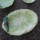Set of 3 vintage asparagus and cabbage leaves slip dishes made in Italy