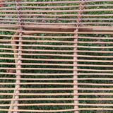 Rattan daybed