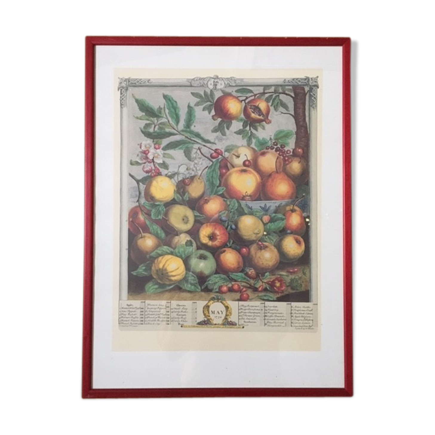 Old English botanical board in May