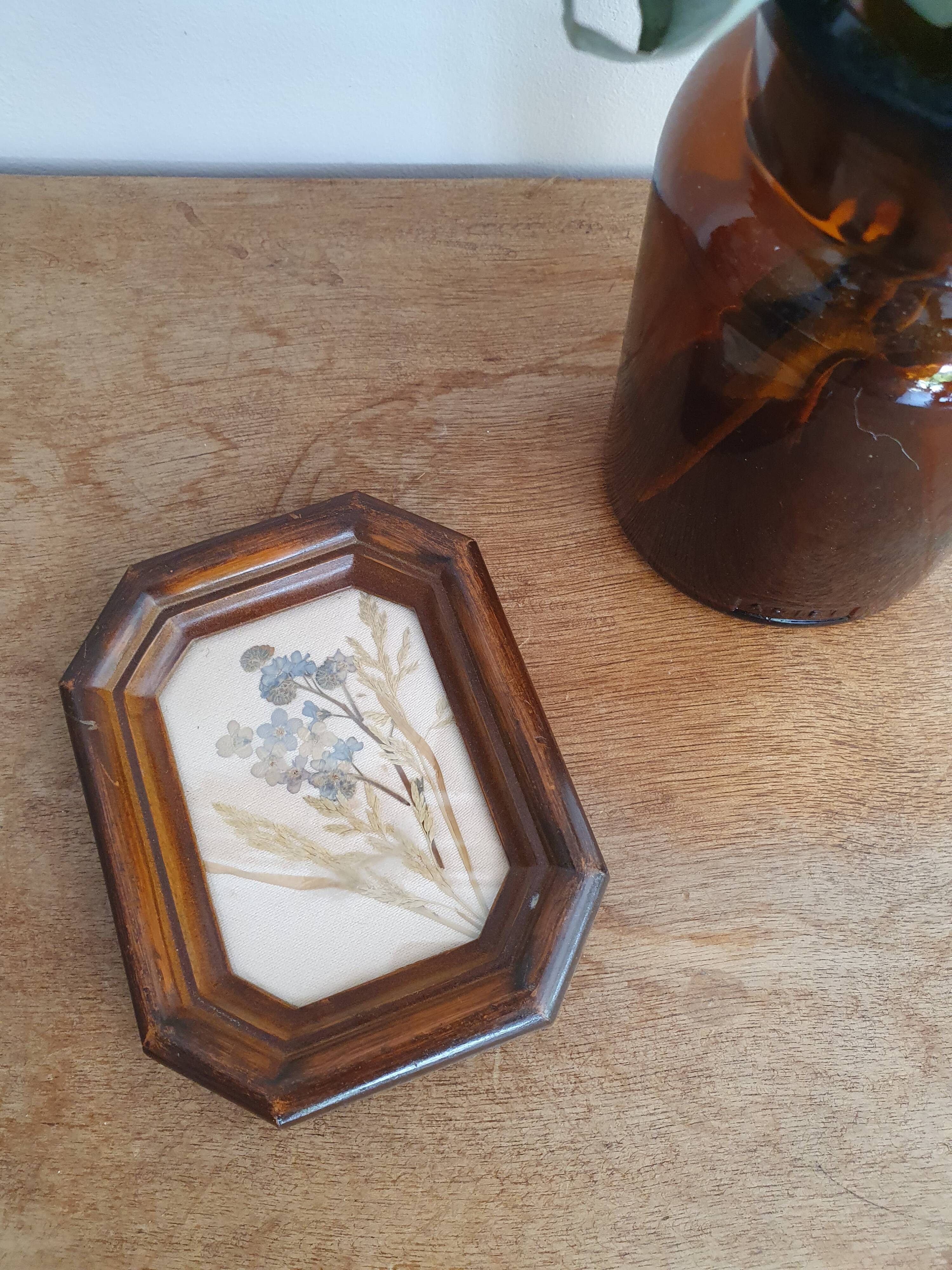 Small herbarium under frame