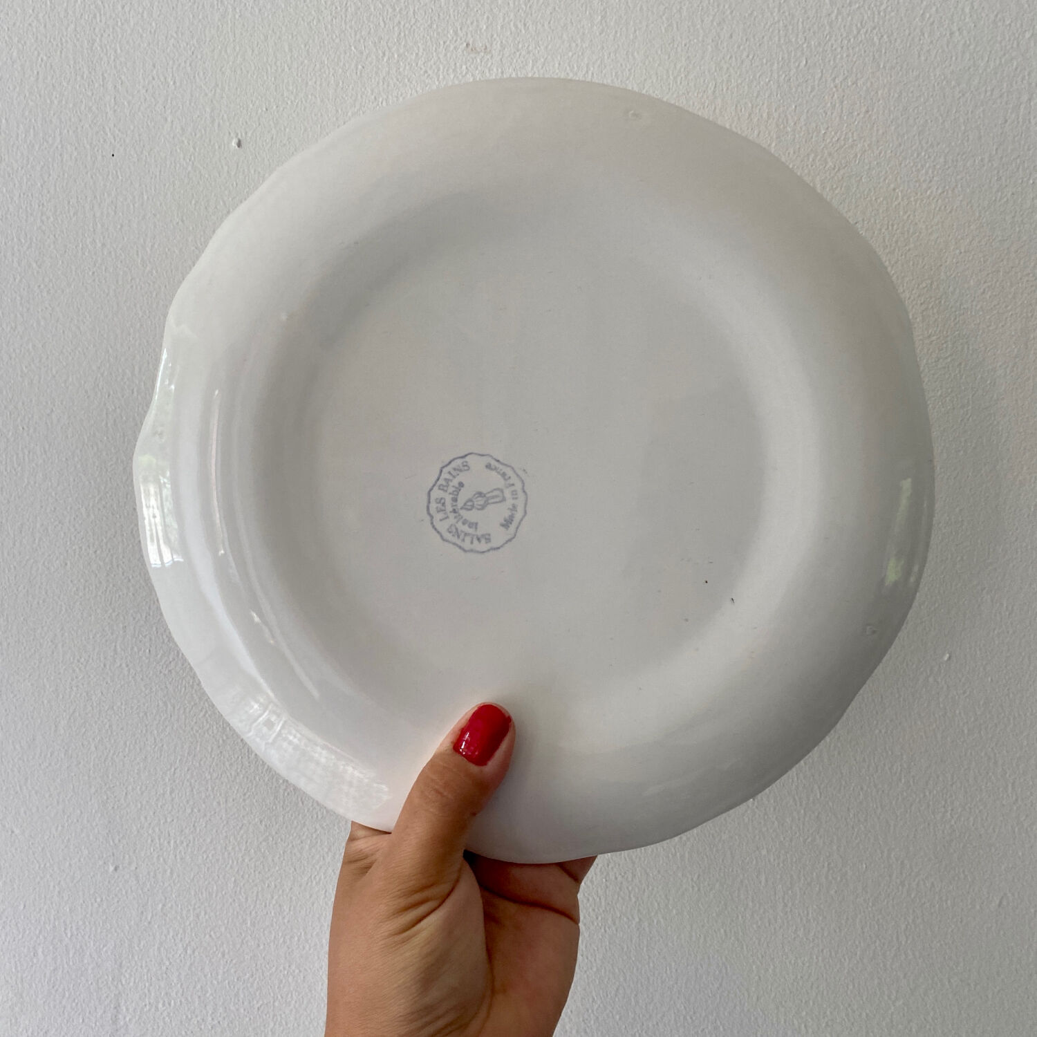 Set of 10 vintage flat plates in the shape of Salins fish