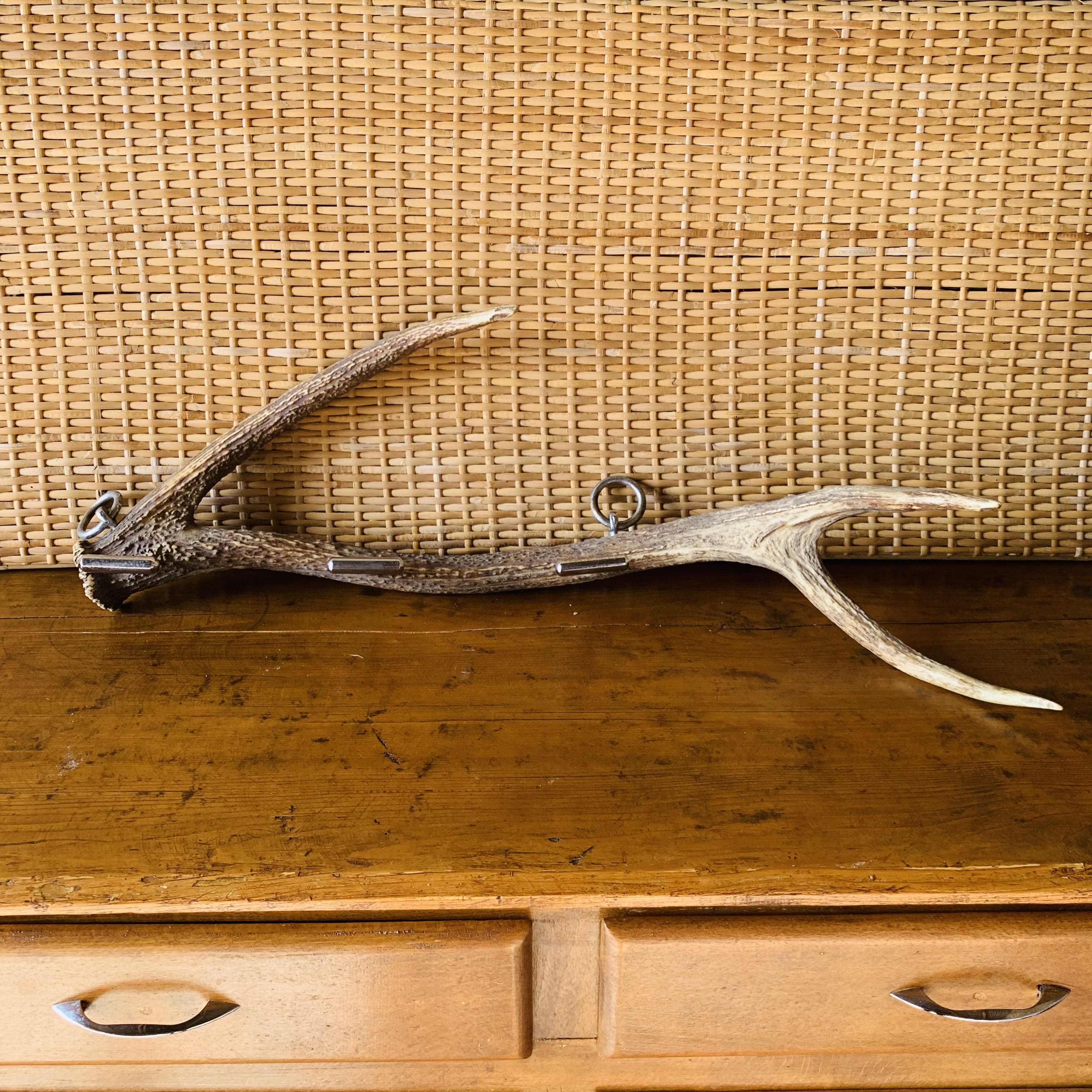 Deer antler coat rack 3 hooks