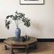 Bajot Indian coffee table