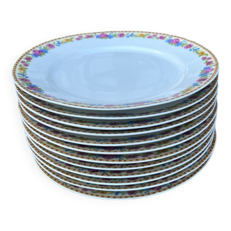 Set of 12 Limoges TLB flat plates