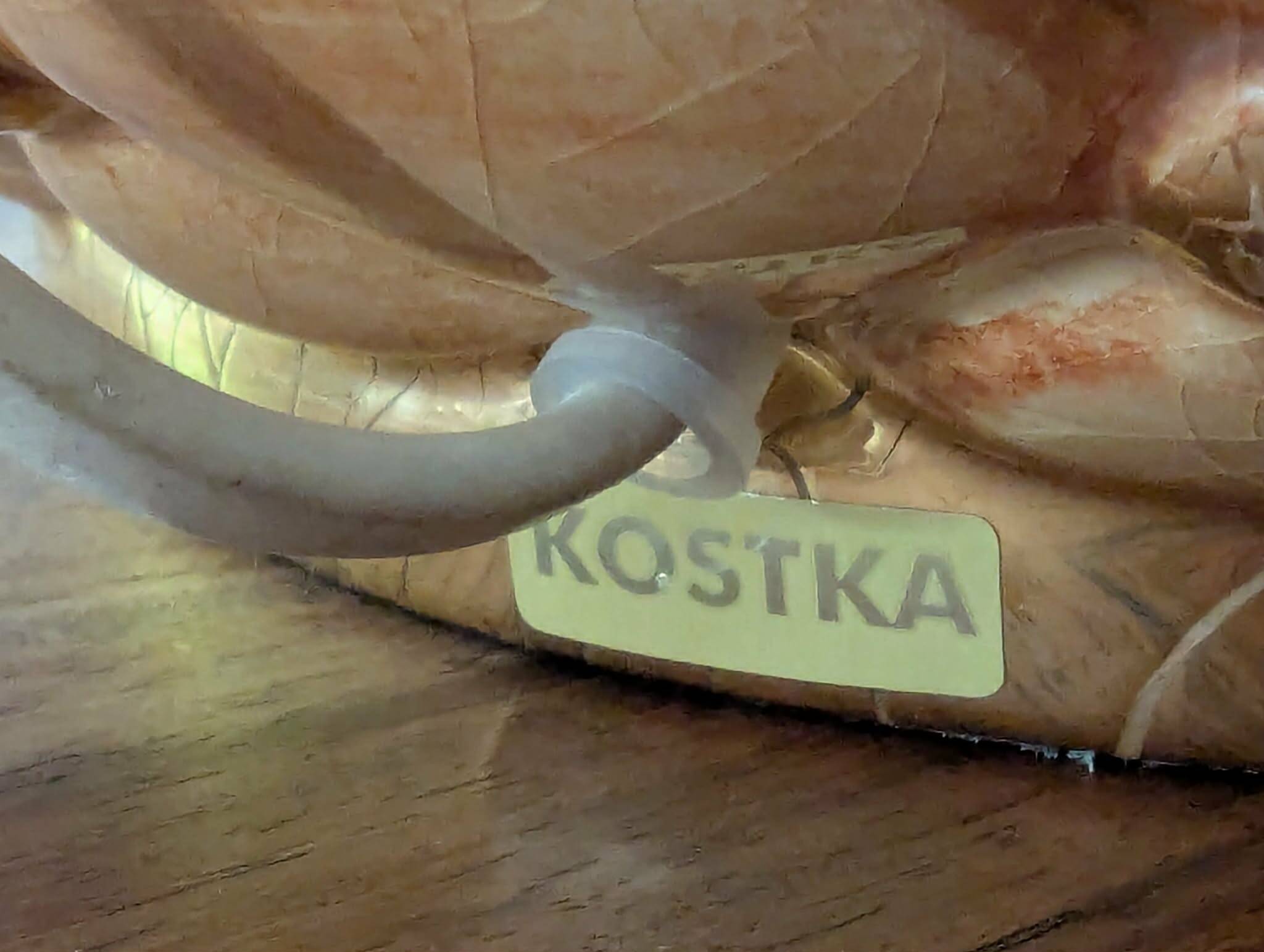 Kostka lamp model Capiton ref. 6133, France