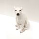 Vintage Italian design hand painted ceramic dog