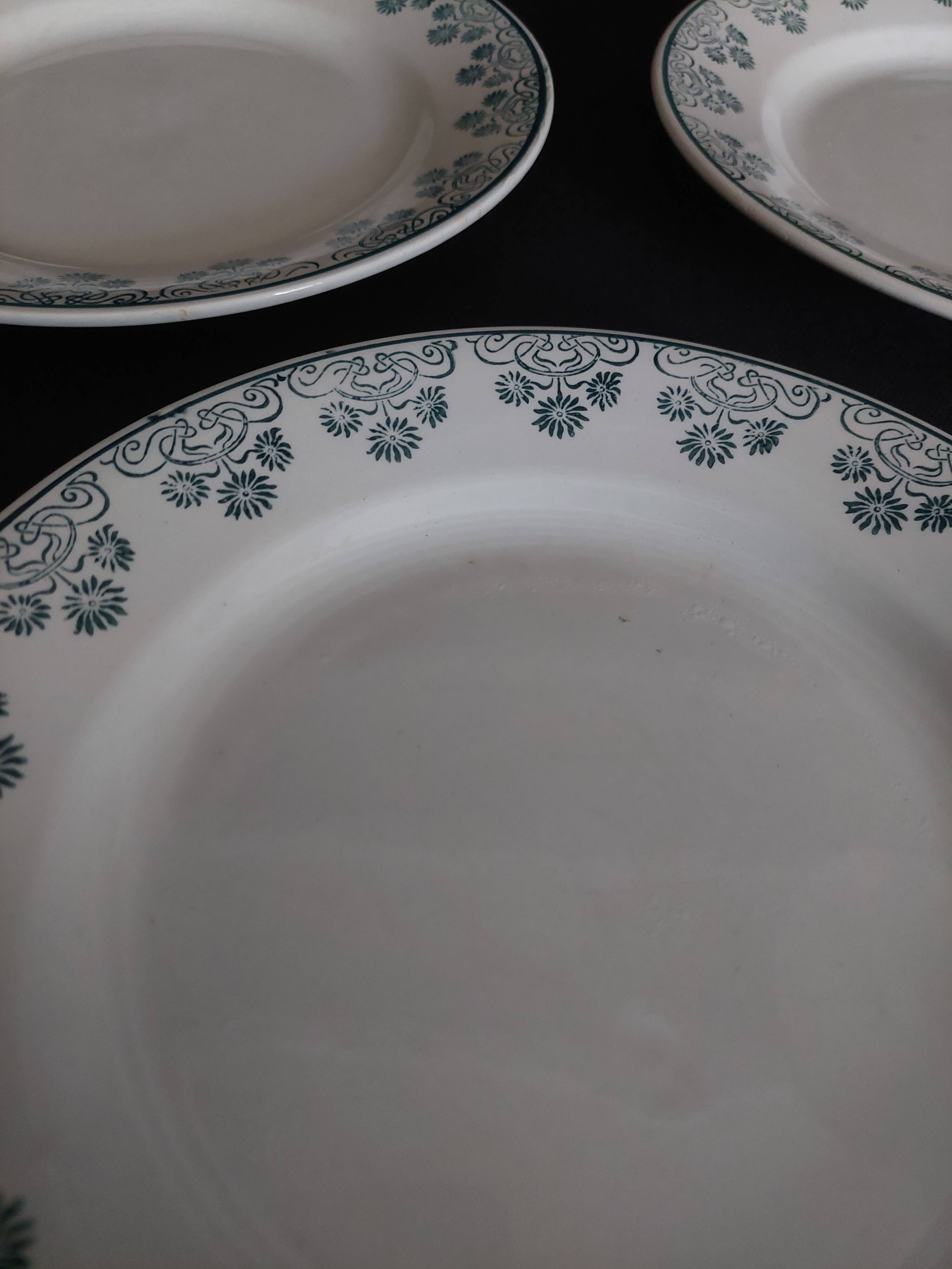 Flat plates in Digoin & Sarreguemines ironstone earthenware