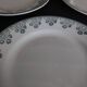 Flat plates in Digoin & Sarreguemines ironstone earthenware