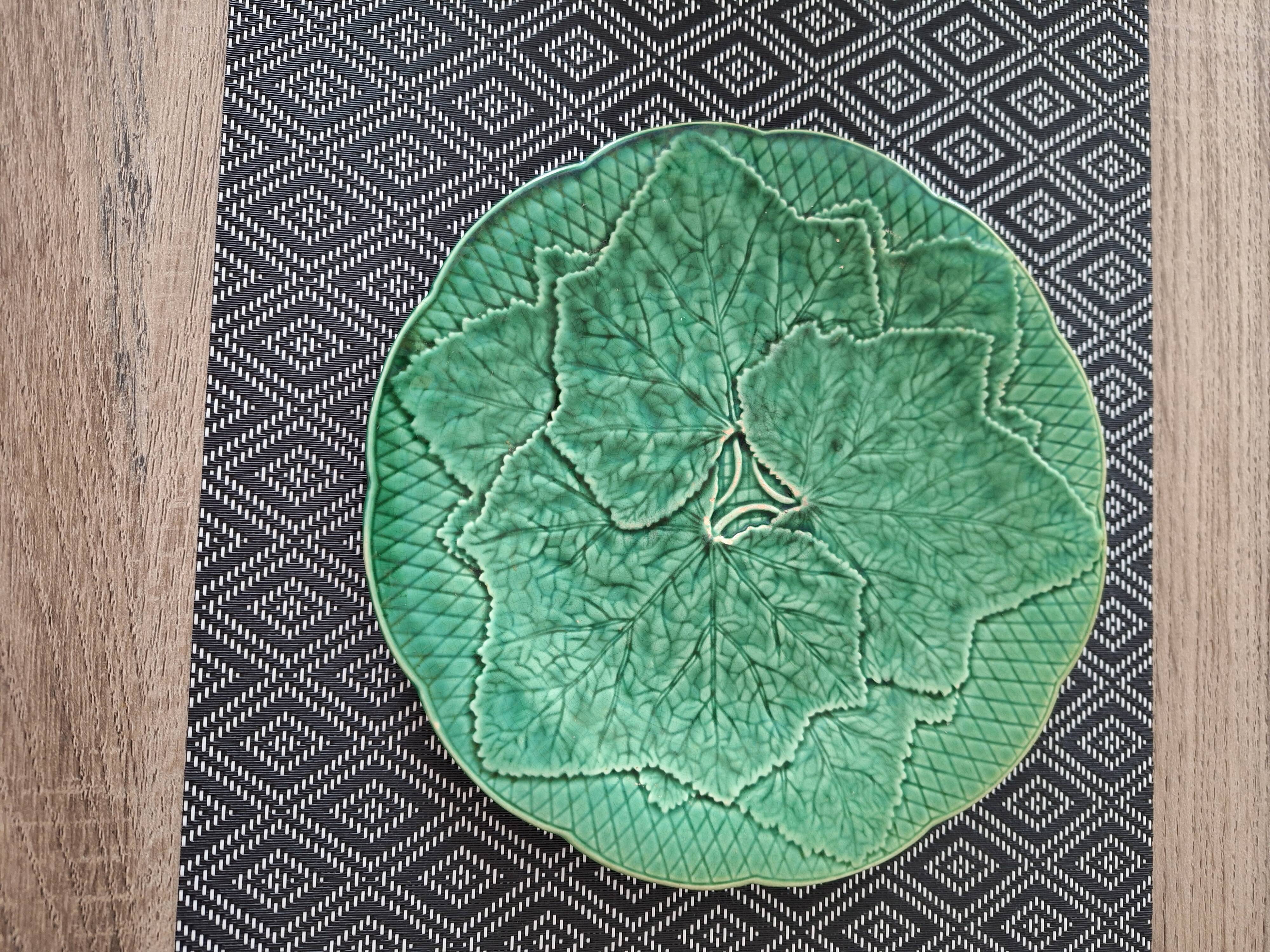 Green plate leaf of gien france