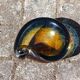 Amber & blue murano glass pocket empty and shell shape - 60s / 70s